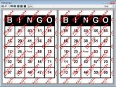 Pictures of a Bingo cards