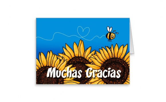 Muchas gracias (Spanish Thank