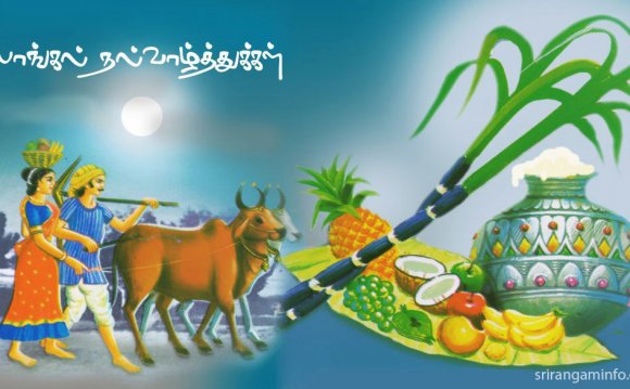 Pongal greeting with cow and