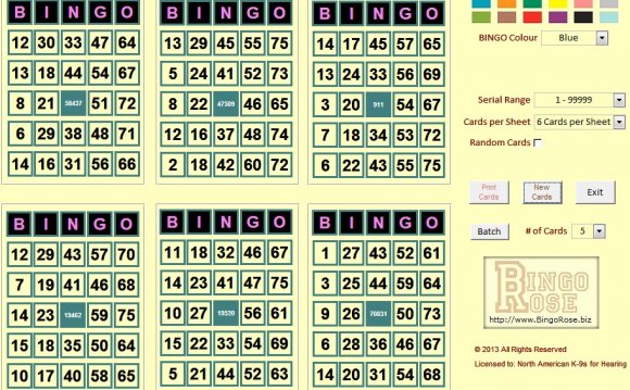 Create your own Bingo