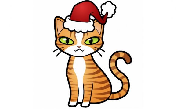 Cat Christmas photo