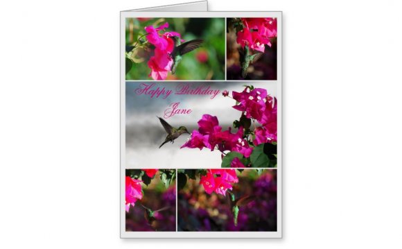 Hummingbird greeting cards