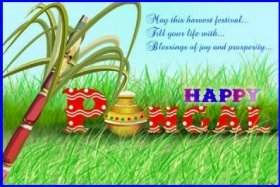 happy pongal wishes