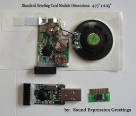 module with programmer