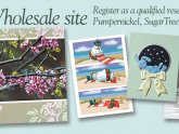 Wholesale Greeting cards for Retailers
